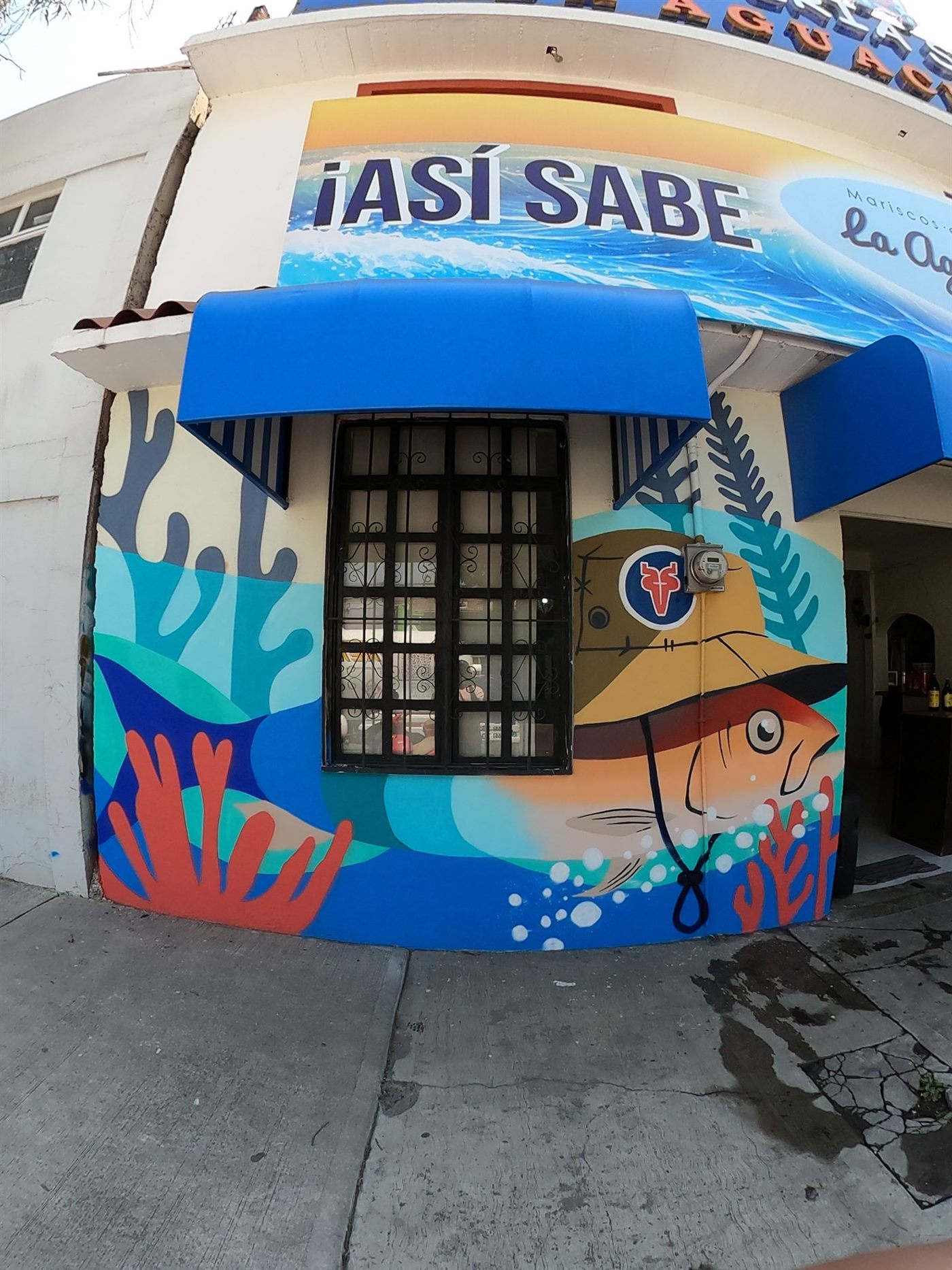 Detalle 2 del proyecto La Aguachilera