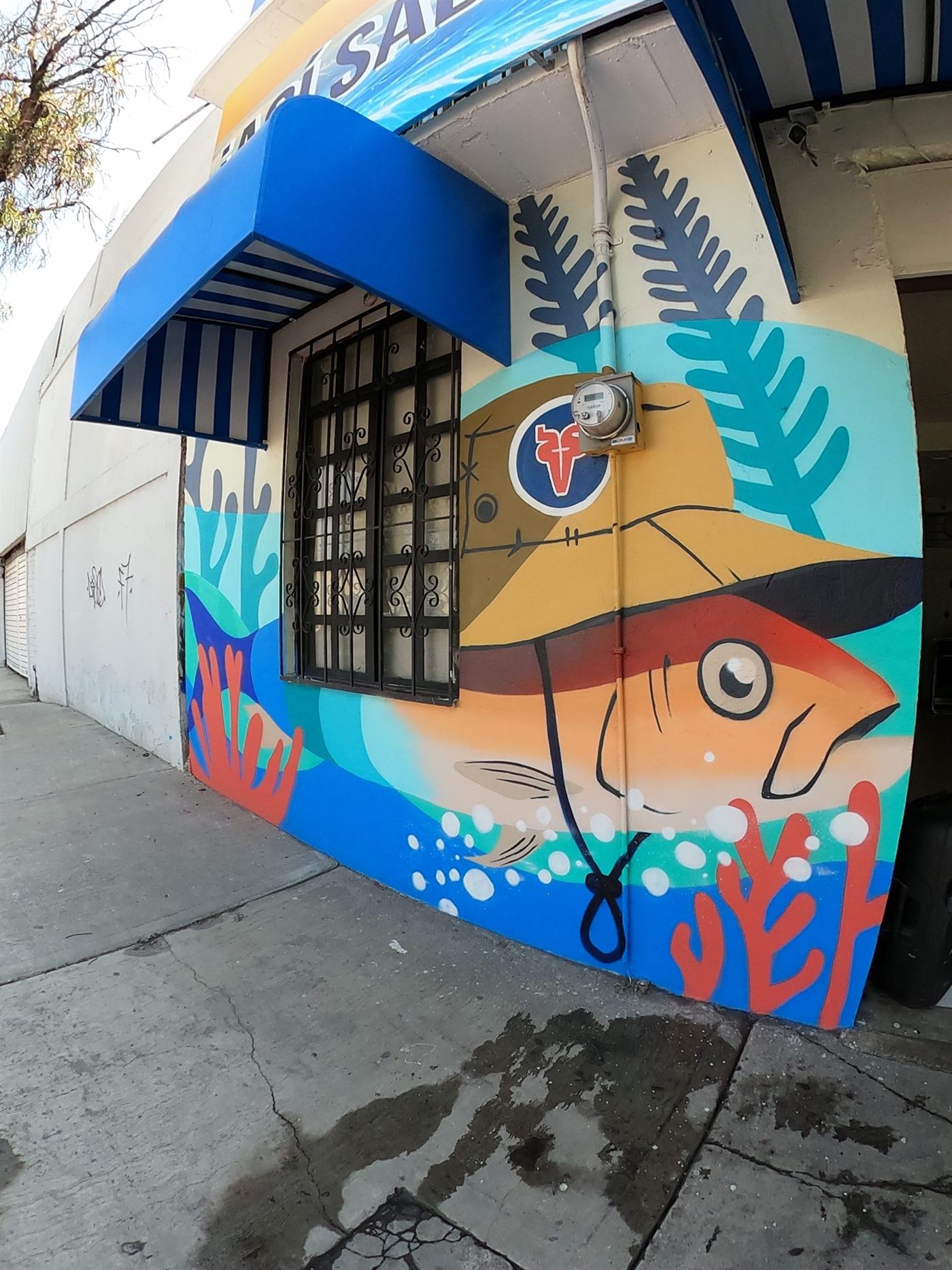 Detalle 5 del proyecto La Aguachilera