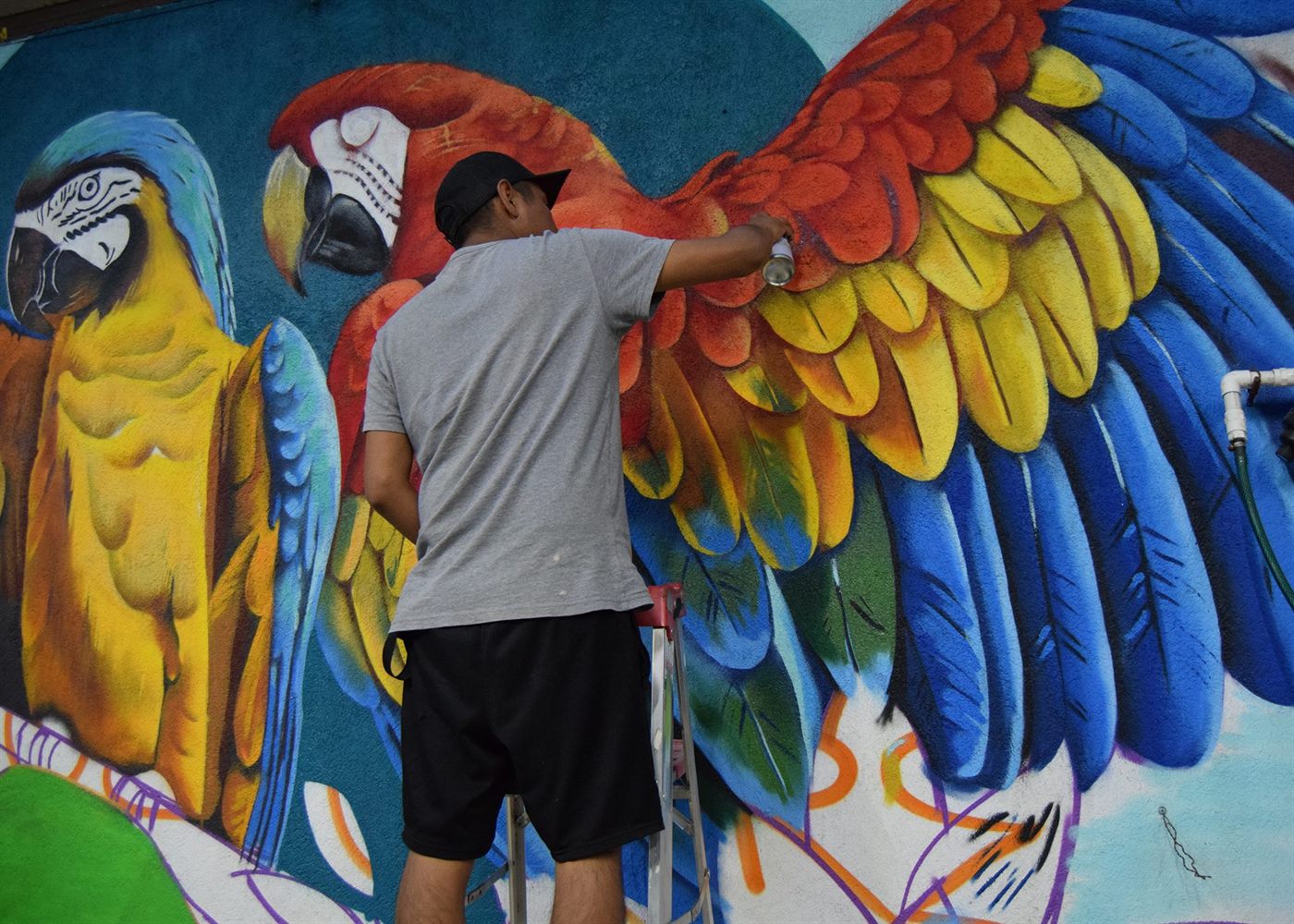 Proceso del mural de guacamayas en el bar Amazonas, CDMX