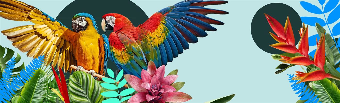 Render 3D del mural de guacamayas antes de pintarse
