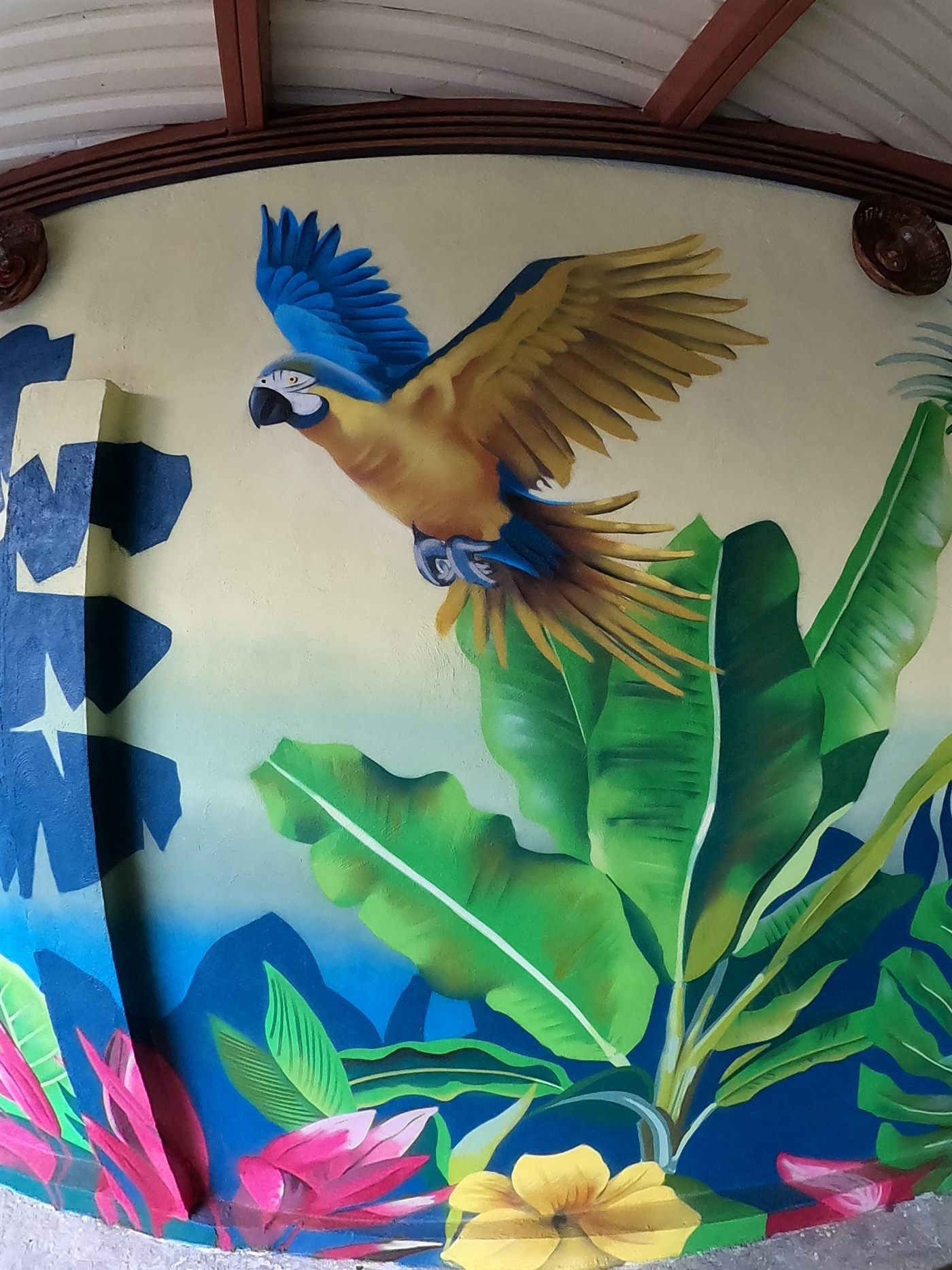 Detalle 2 del proyecto Terraza Selva